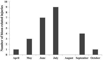 Injuries by month